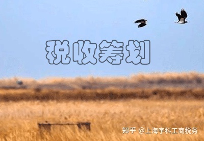 上海稅務籌劃(上海稅務網站官網)(圖1)