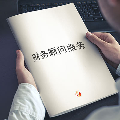 財(cái)務(wù)顧問(wèn)公司(實(shí)施顧問(wèn)可以轉(zhuǎn)財(cái)務(wù)嗎)