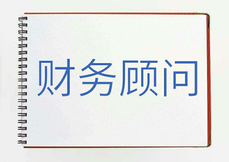 財(cái)務(wù)顧問(wèn)公司(實(shí)施顧問(wèn)可以轉(zhuǎn)財(cái)務(wù)嗎)