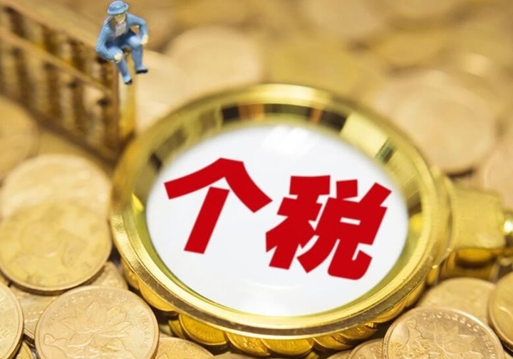 一般稅務籌劃(一般納稅人稅務報表)(圖2)