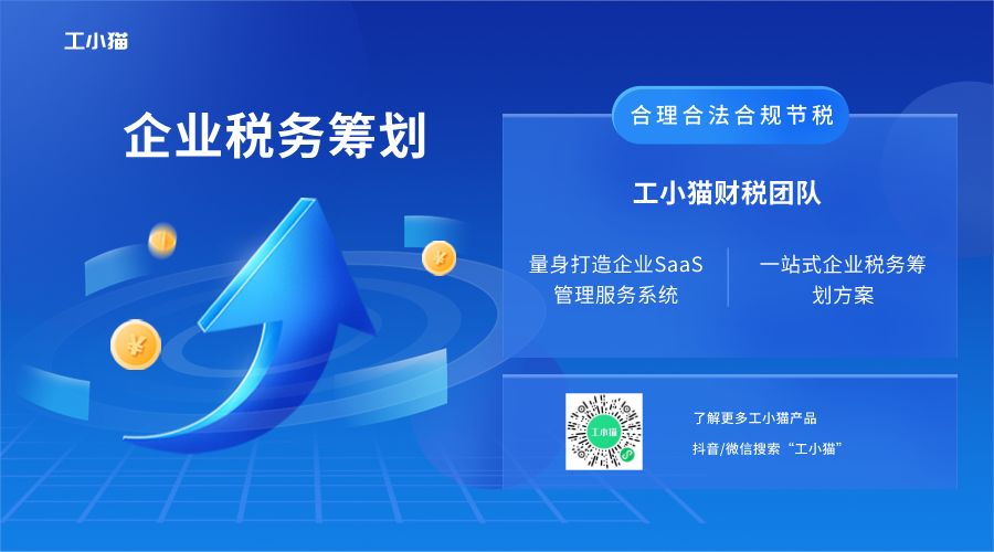 一般稅務籌劃(一般納稅人稅務報表)