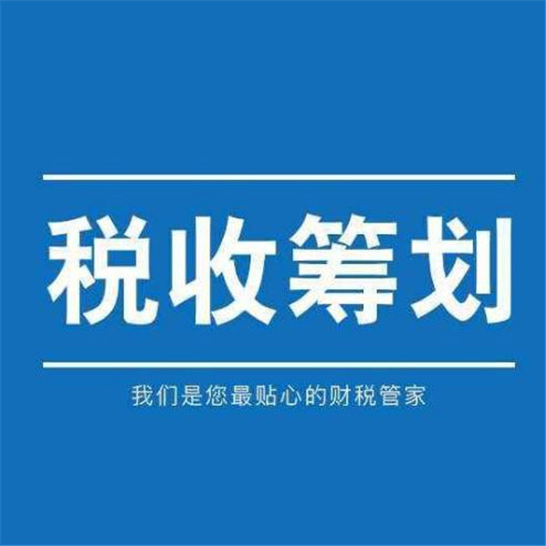 稅收籌劃的原則(公平類稅收原則和效率類稅