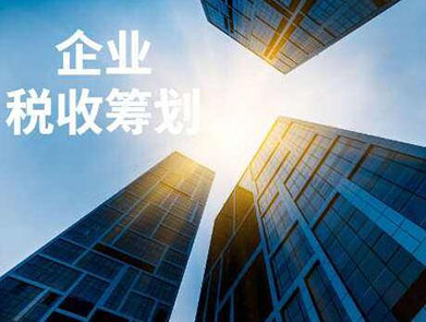 納稅籌劃的概念(企業(yè)納稅實(shí)務(wù)與籌劃)