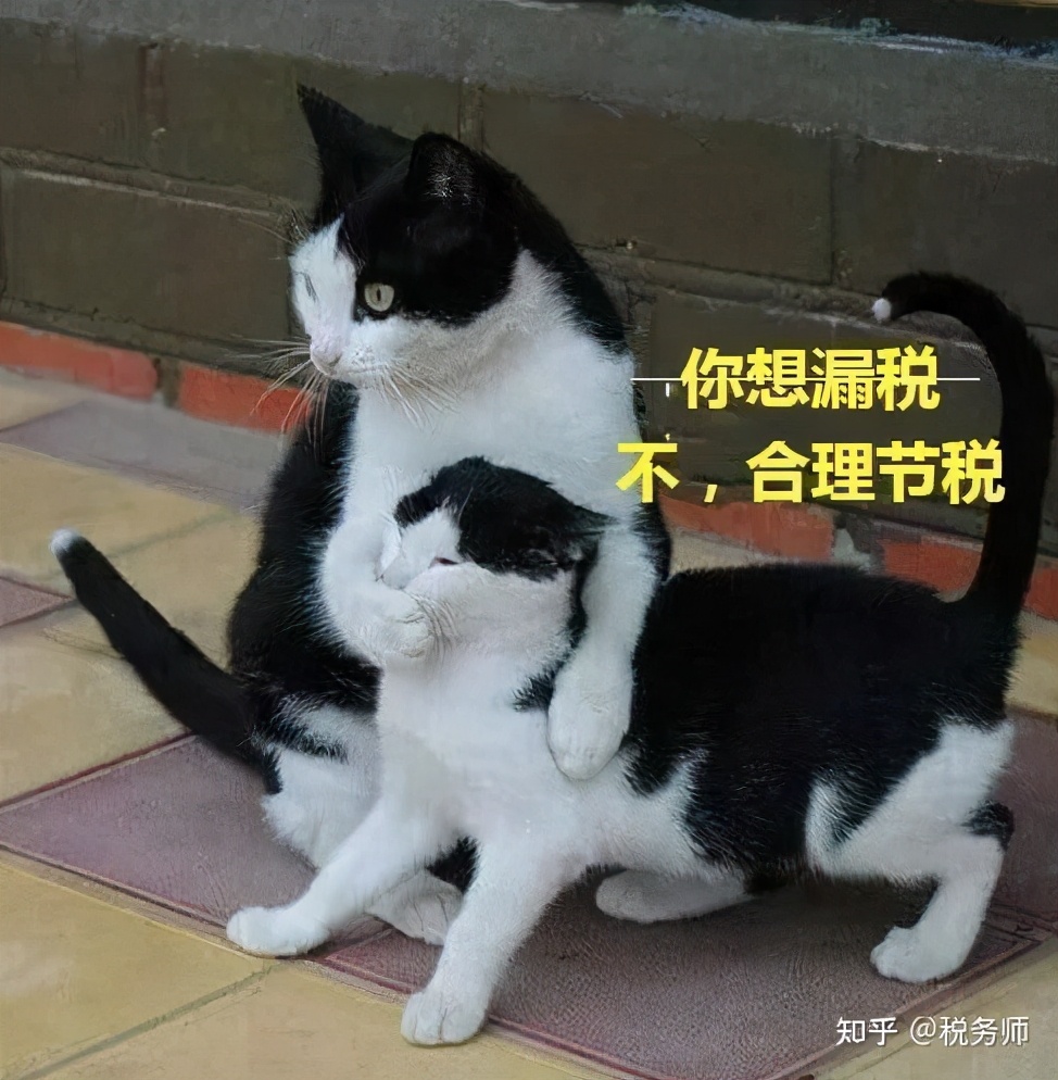 稅務(wù)籌劃，真的可以為公司企業(yè)節(jié)稅嗎？靠譜嗎？