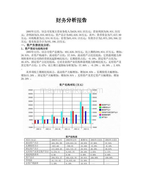 財務分析報告怎么寫