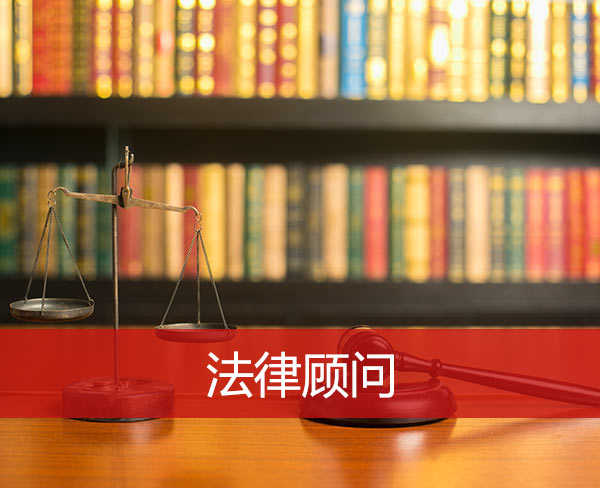 企業(yè)常年財務顧問