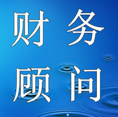 常年財務顧問資料