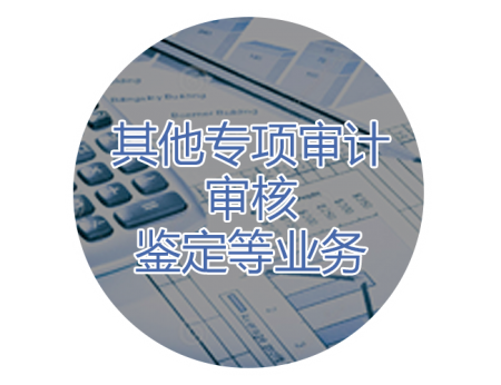 財務內審主要審什么